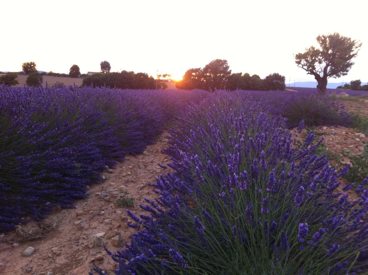 Le Petit Caboulot En Pleine Nature Vaumeilh Bagian luar foto